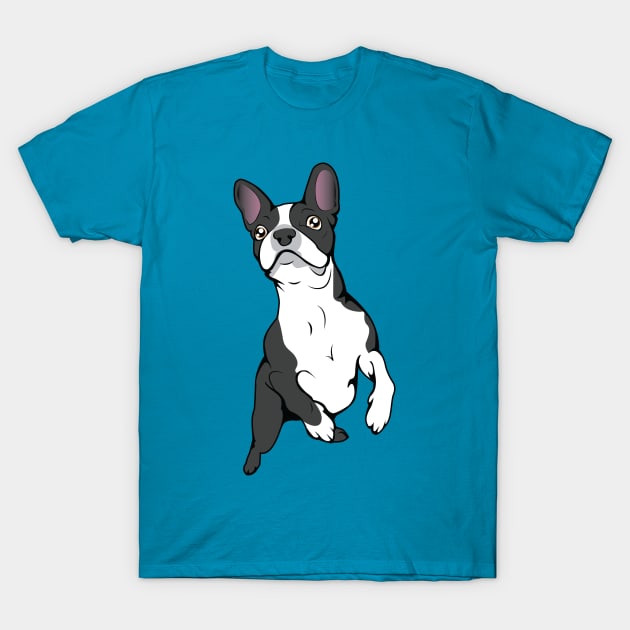 Boston Terrier Time! T-Shirt by SurefootDesigns
